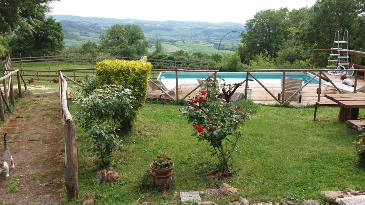 Agriturismo Castellum Aquarum Manciano Zewnętrze zdjęcie