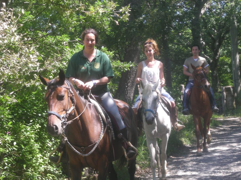 Agriturismo Castellum Aquarum Manciano Zewnętrze zdjęcie