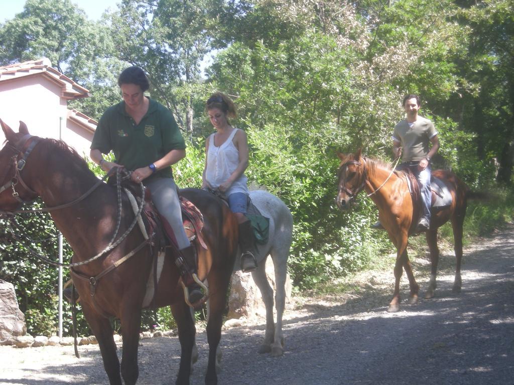 Agriturismo Castellum Aquarum Manciano Zewnętrze zdjęcie
